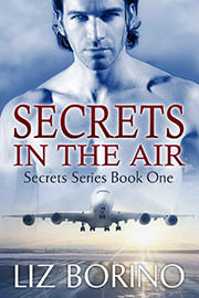Contemporary Romance Freebies: Secrets in the Air by Liz Borino
